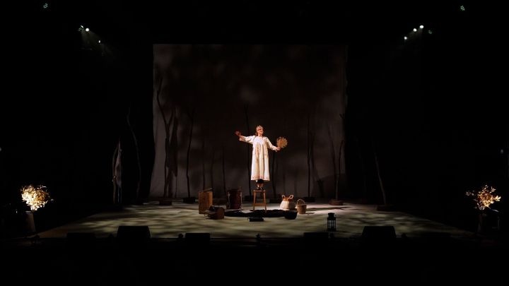 Bryony Kimmings - Bog Witch